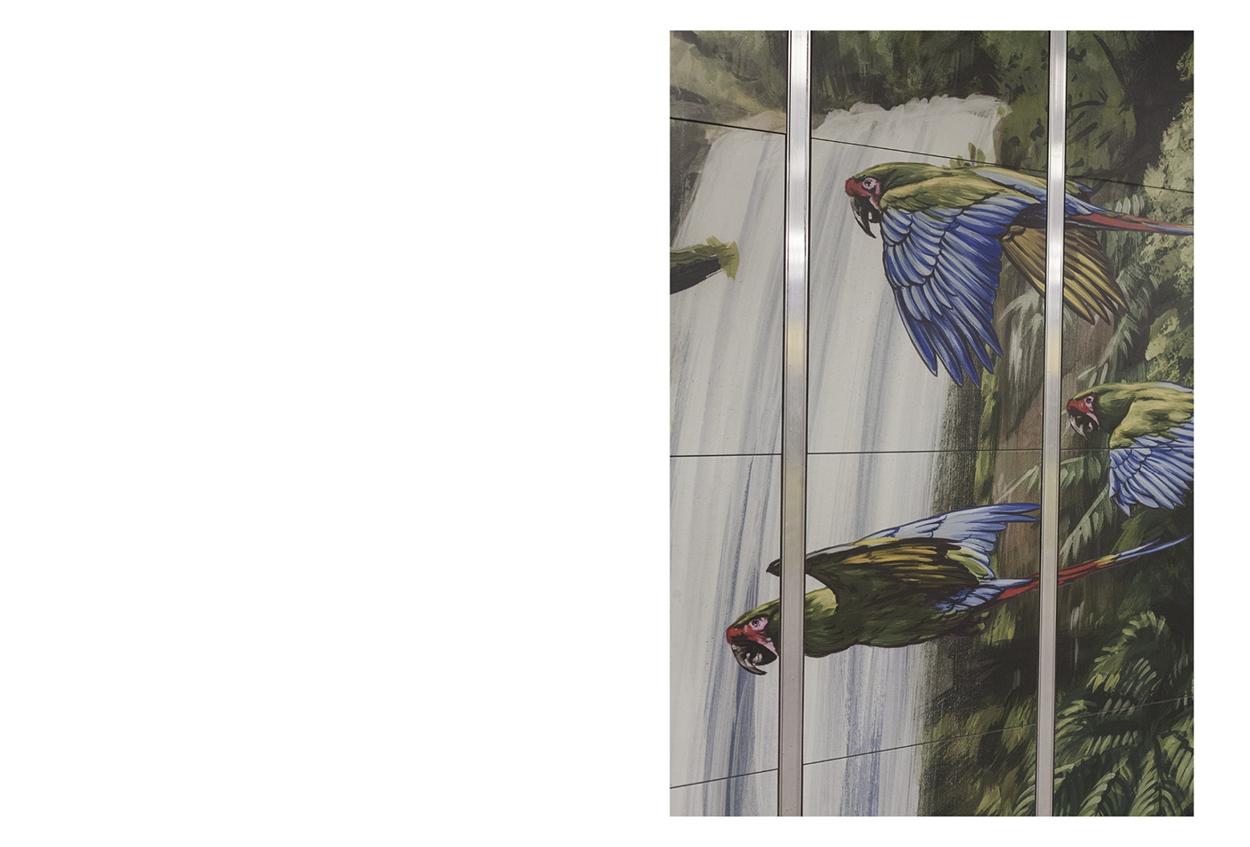 slanted-books-paul-hutchinson-wildlife-photography-bildband image 3
