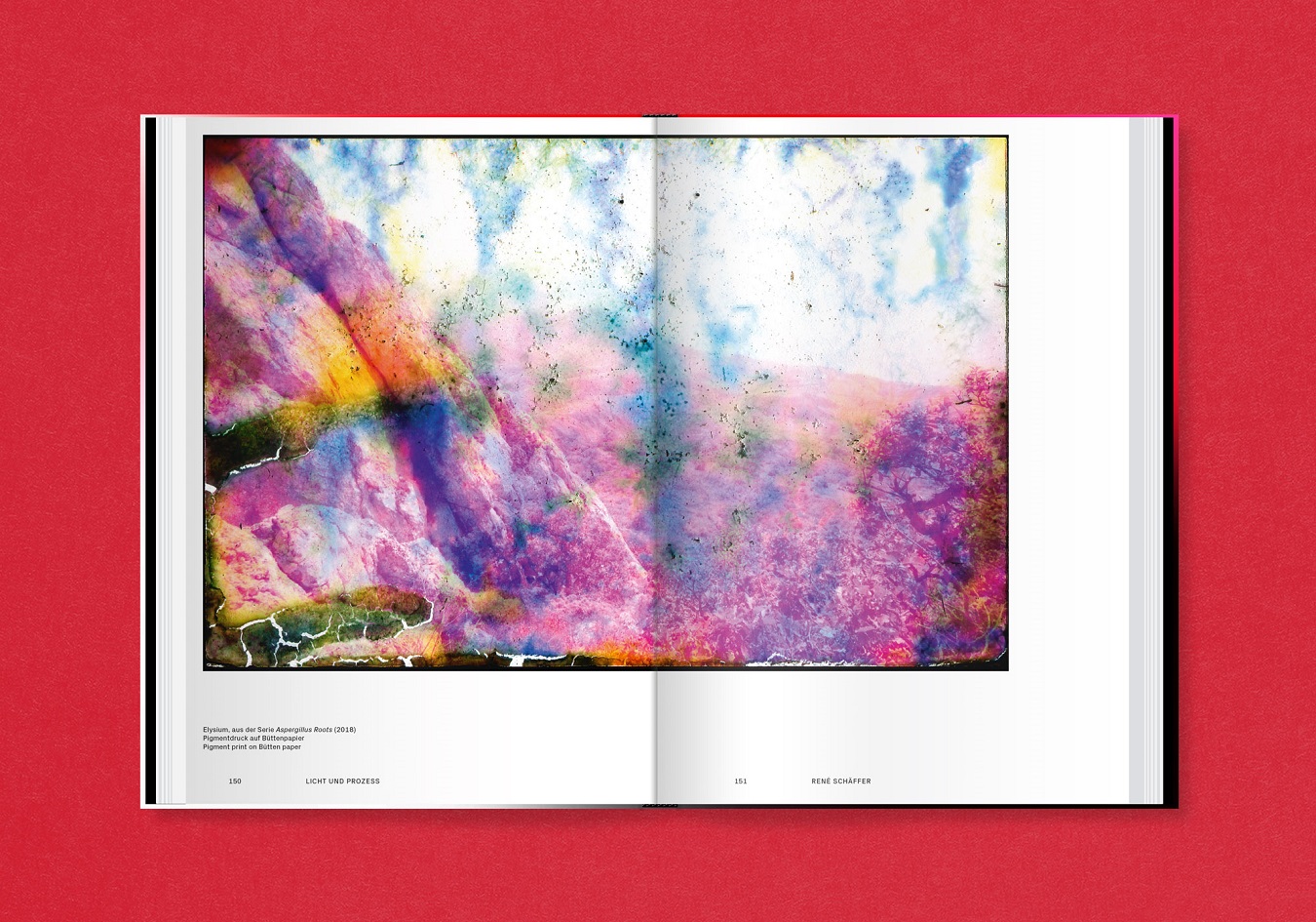 slanted-analog-total-fotografie-heute-foto-buch image 6