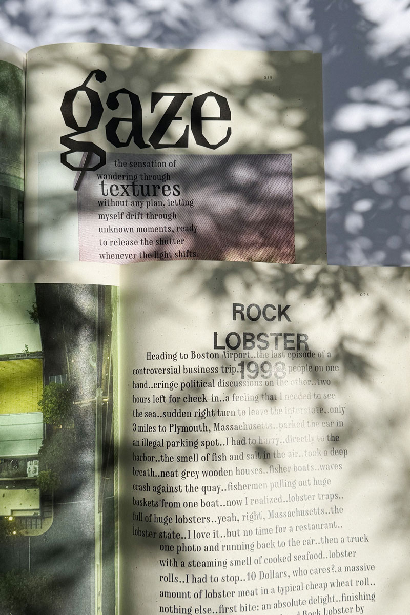 slanted-gaze-edition-01-about-exploring-magazin image 2
