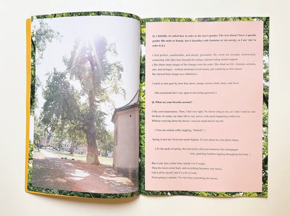 slanted-books-vol-4-trees-in-potsdam-buch-b-ume image 1