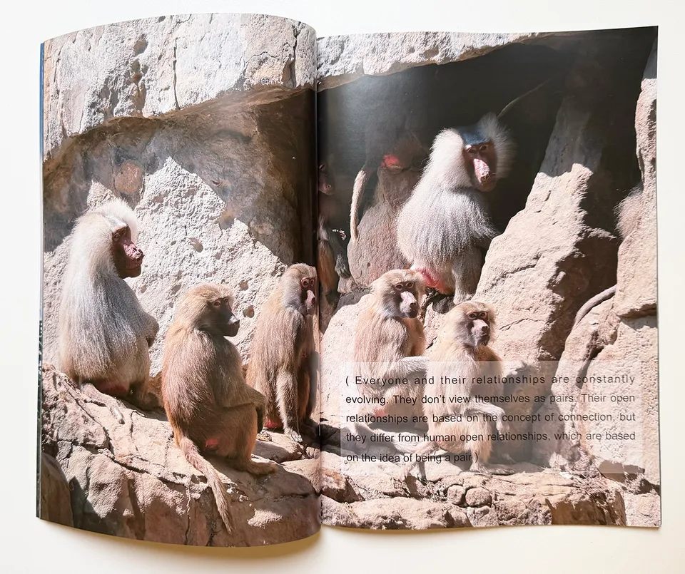 slanted-books-vol-3-zoo-in-berlin-buch-design image 1