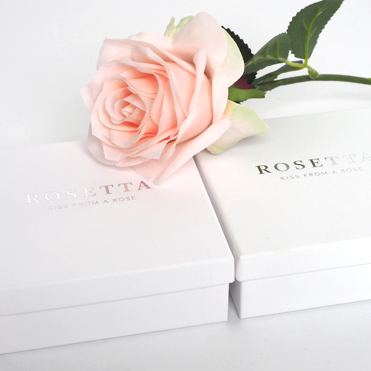 slanted-books-soap-rosetta-buch-typografie image 4