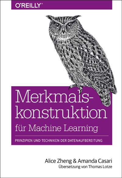 dpunkt-computing-merkmalskonstruktion-f-r-machine-learning-buch-deutsch image 1