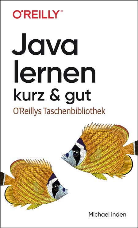 dpunkt-computing-java-lernen-kurz-gut-buch-grundlagen image 1