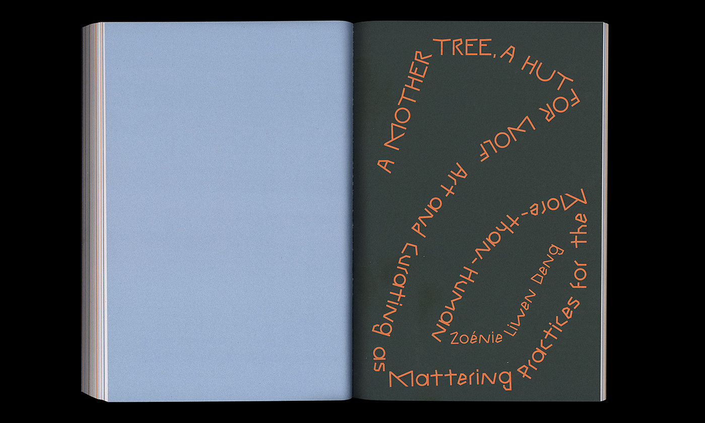 slanted-worlding-ecologies-buch-kunst-klima-aktivismus image 2