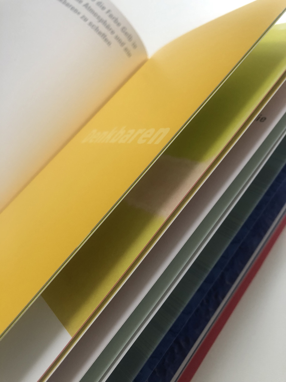 slanted-books-anna-blume-ist-rot-buch-farbe-als-ereignis image 5
