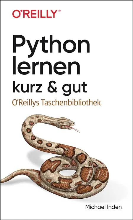 dpunkt-computing-python-lernen-kurz-gut-buch-python-3 image 1