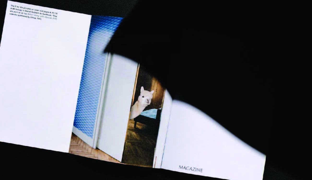slanted-forward-magazine-the-odd-one-out-magazin image 3