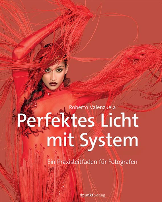 dpunkt-computing-perfektes-licht-mit-system-fotobuch image 1