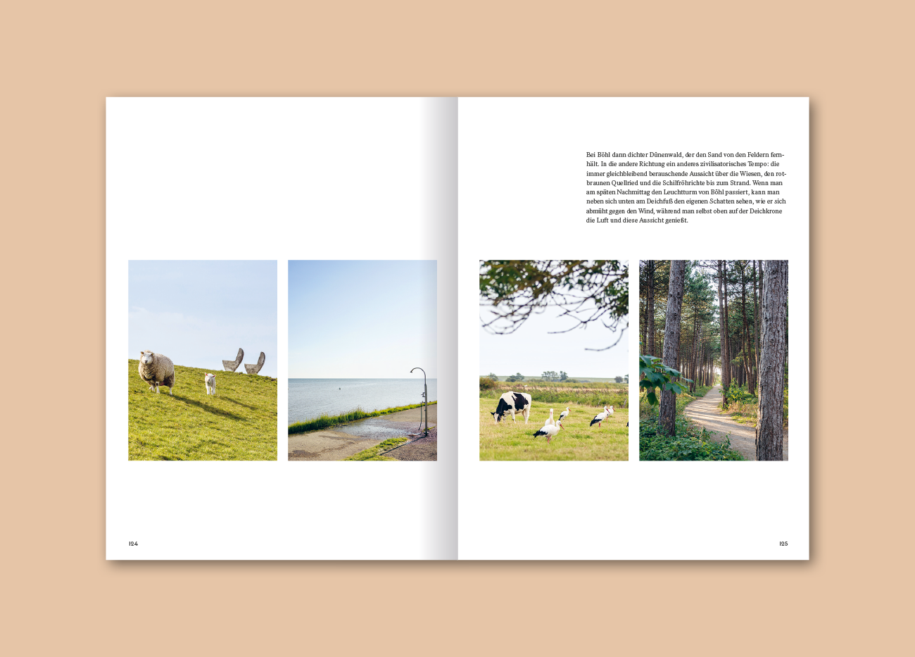 slanted-books-wochenender-st-peter-ording-buch-reisef-hrer image 4