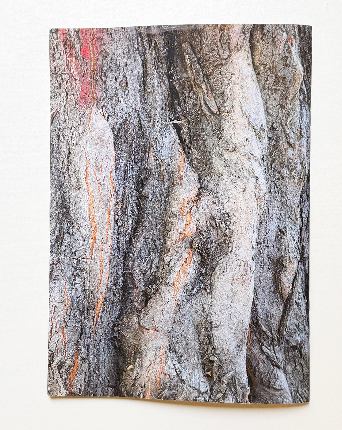 slanted-books-vol-4-trees-in-potsdam-buch-b-ume image 4
