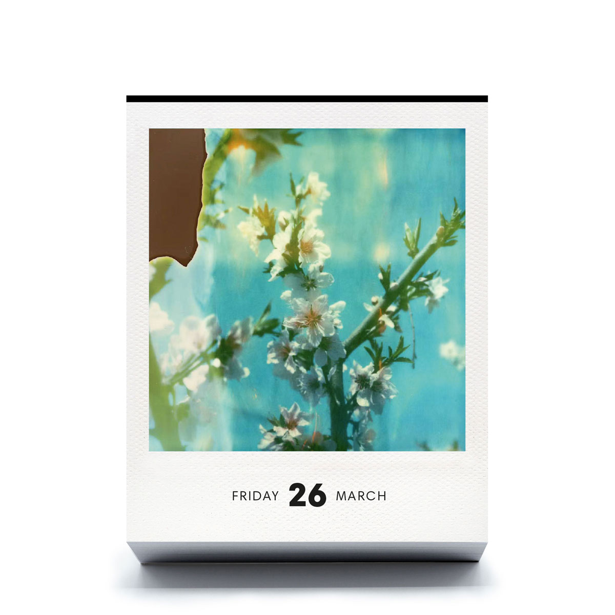 slanted-calendars-photodarium-2027-kalender-fotografie image 7