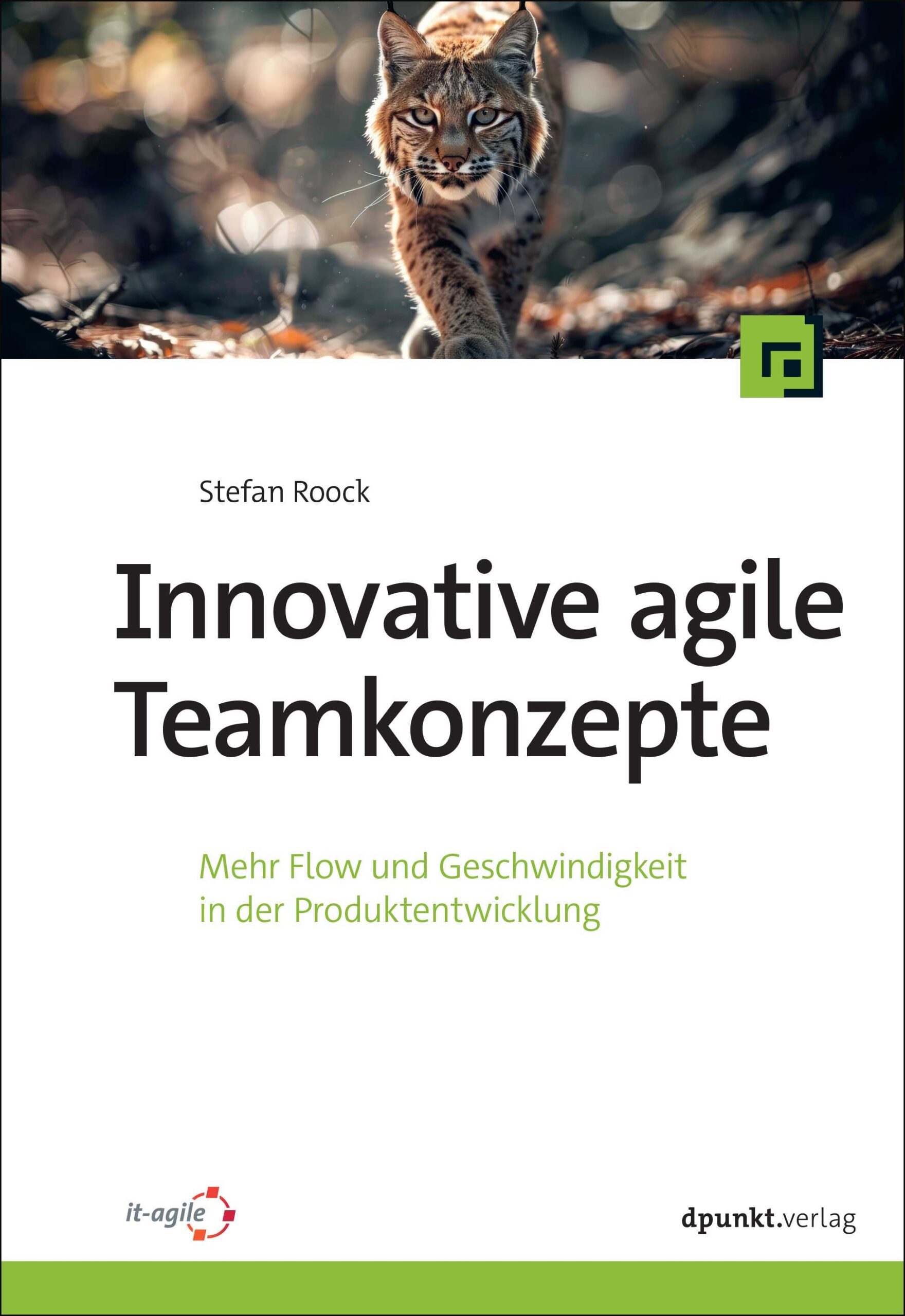 dpunkt-innovative-agile-teamkonzepte-roock-buch image 1