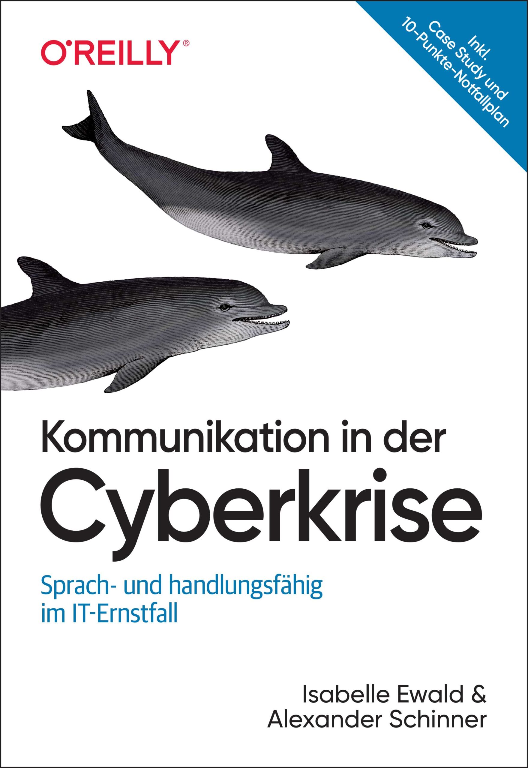 dpunkt-verlag-computing-kommunikation-cyberkrise-buch image 1
