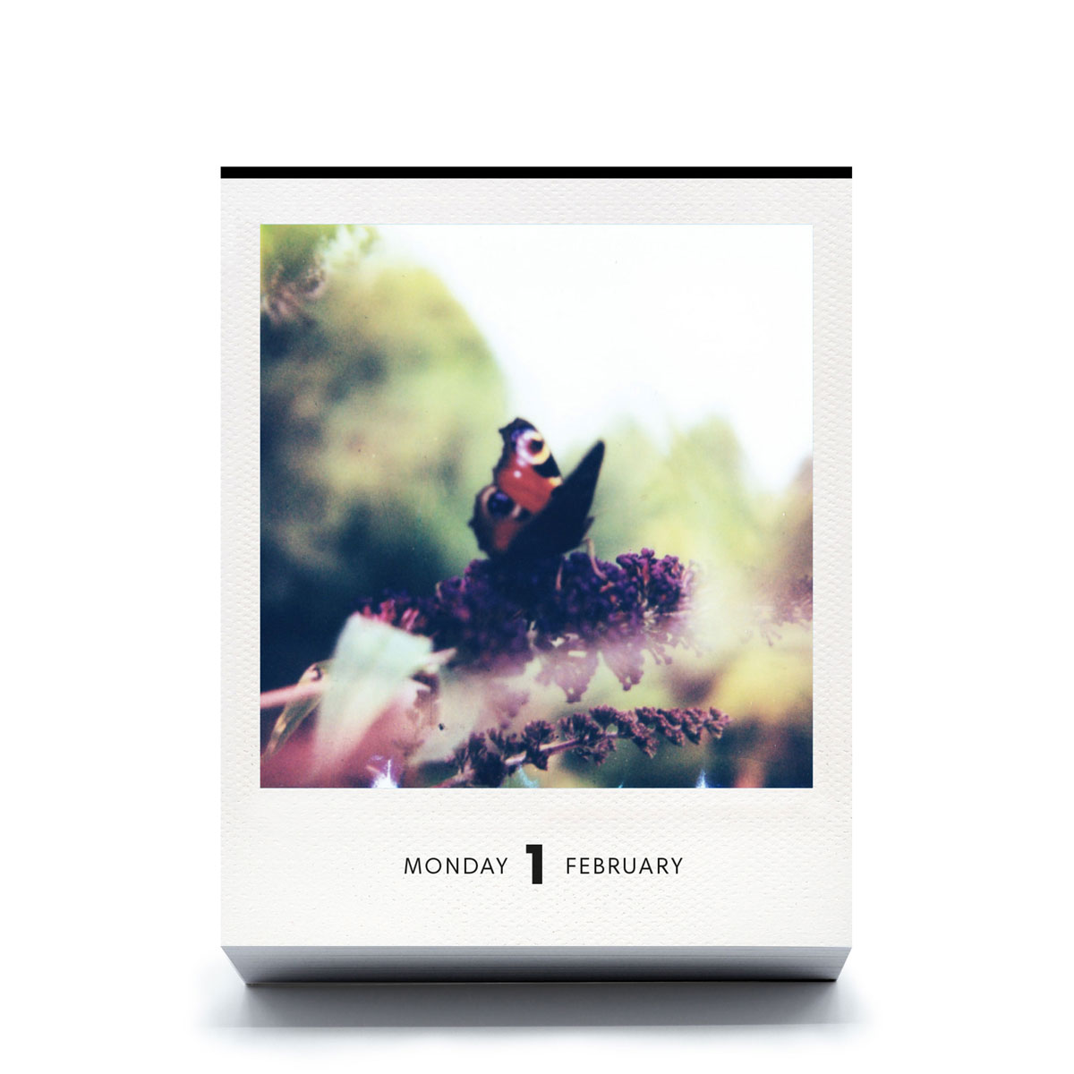 slanted-calendars-photodarium-2027-kalender-fotografie image 6