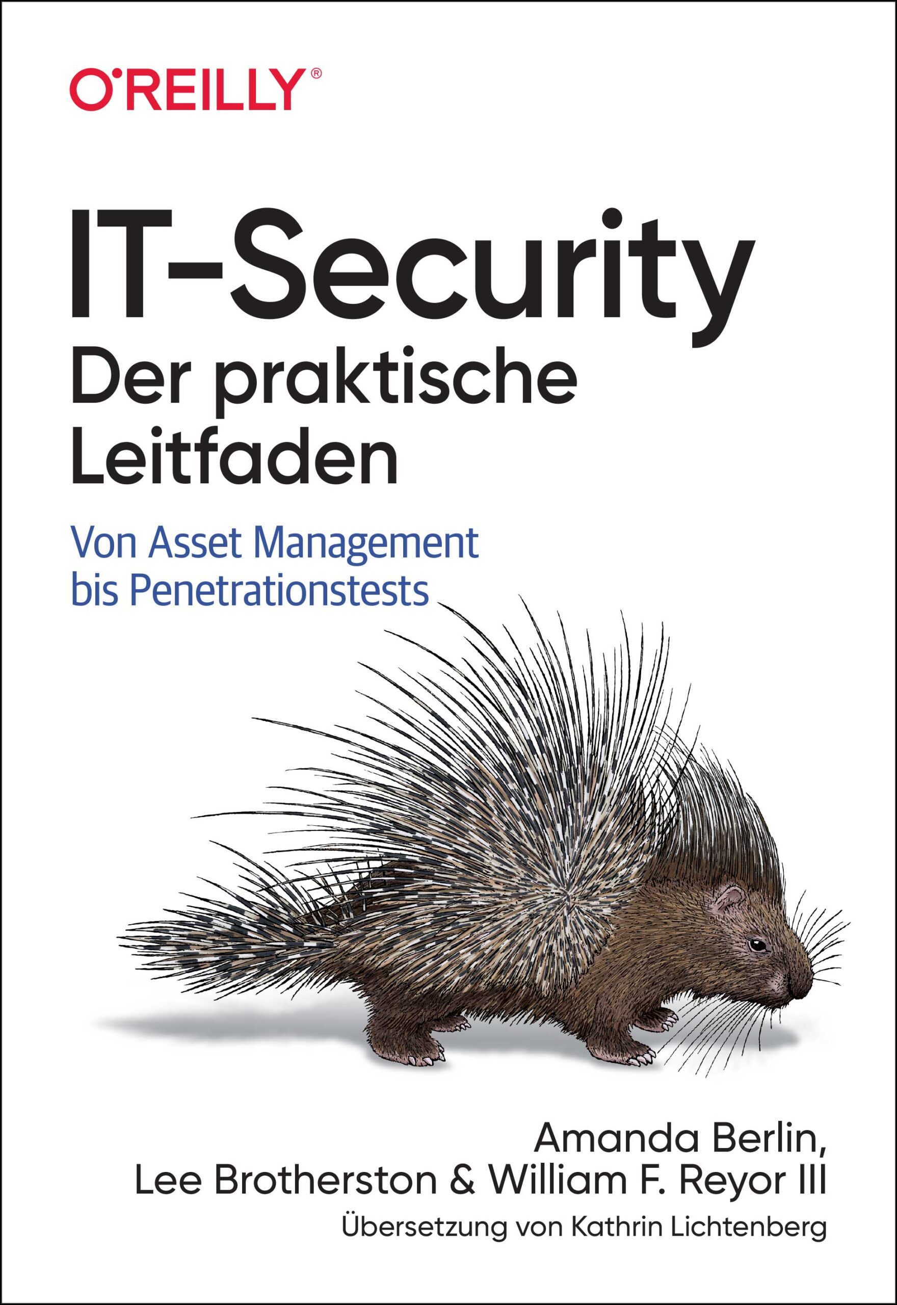dpunkt-computing-it-security-fachbuch-praktischer-leitfaden-isms image 1