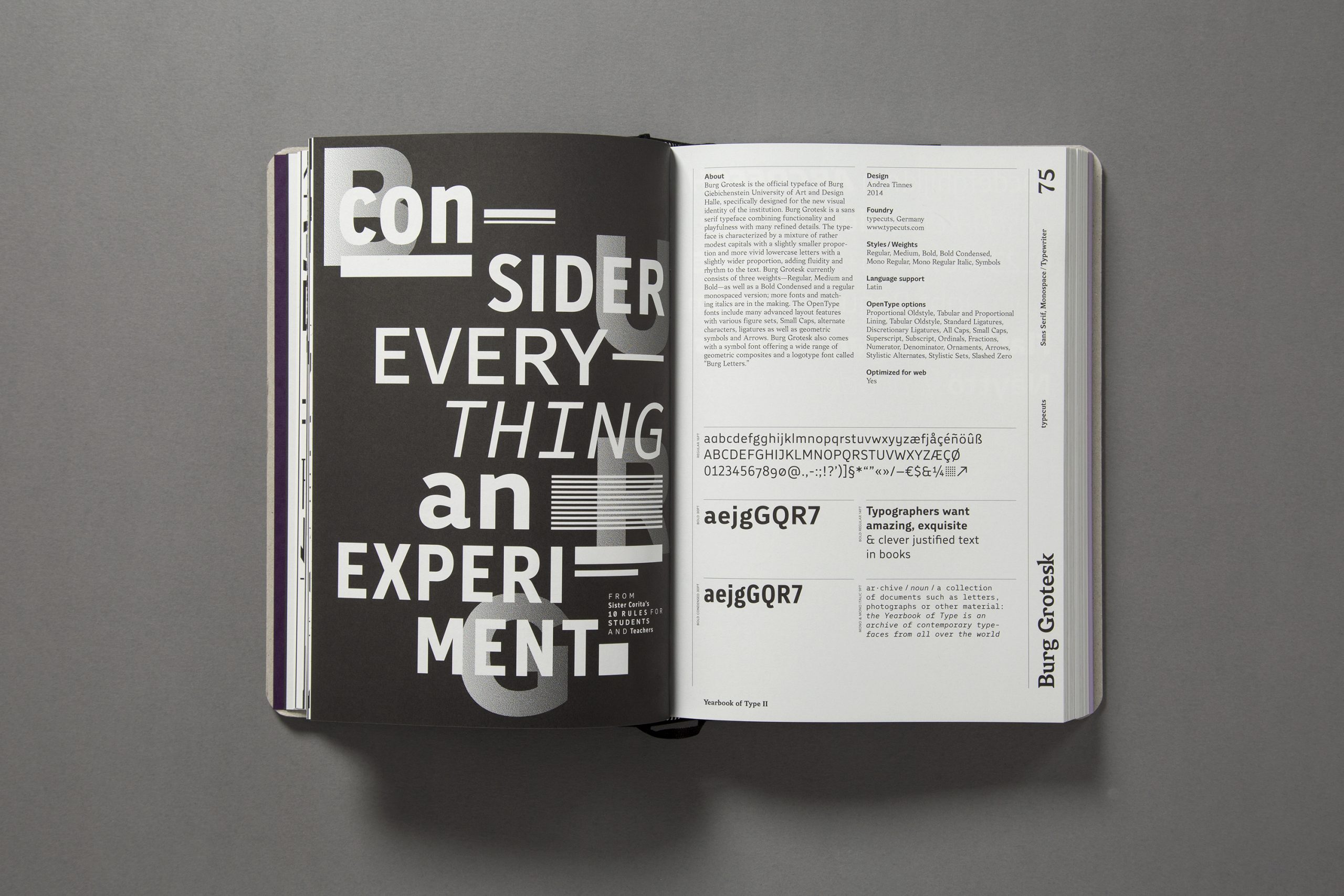 slanted-books-yearbook-of-type-ii-buch-typografie-schriften image 8