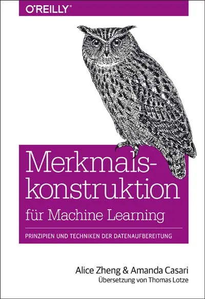 dpunkt-computing-merkmalskonstruktion-f-r-machine-learning-buch-deutsch image 1