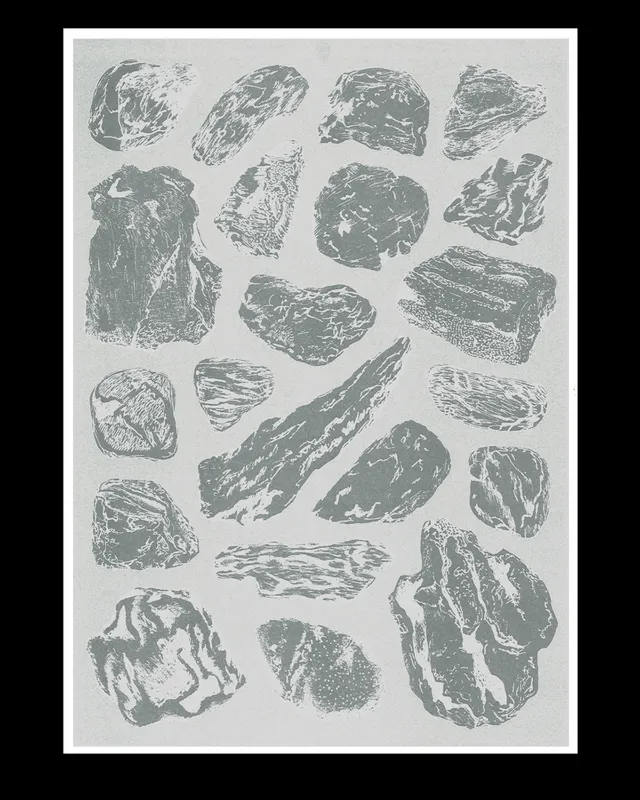 slanted-books-collected-stones-designbuch-natur image 1