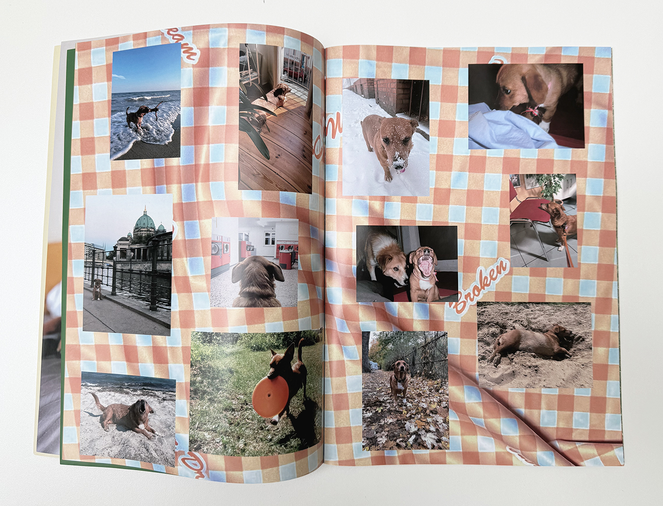 slanted-3-33333333-x-3-vol-1-dogs-in-berlin-buch-bildband image 2