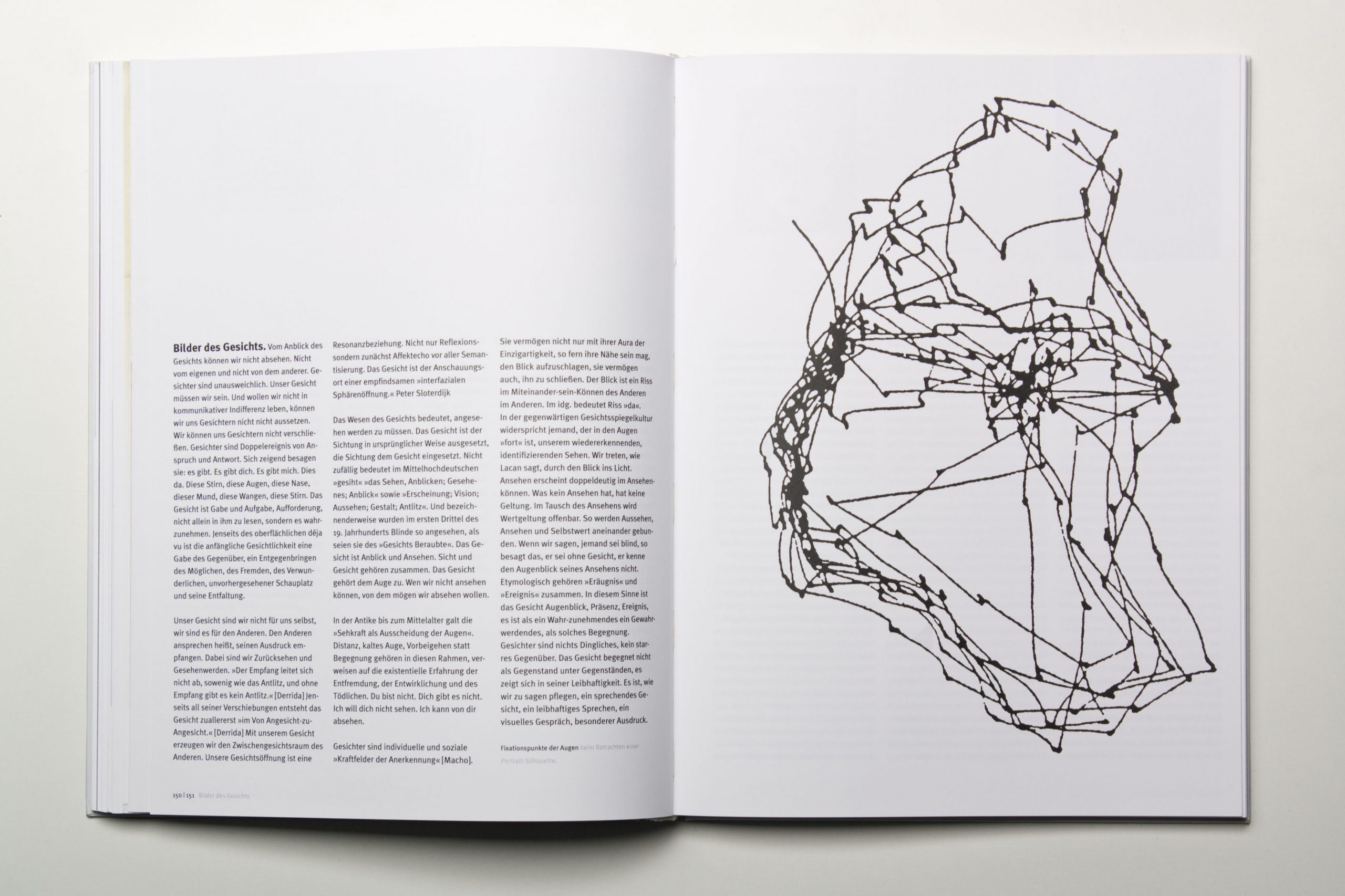 slanted-dieter-fuder-funke-der-semantik-designtheorie-buch image 2