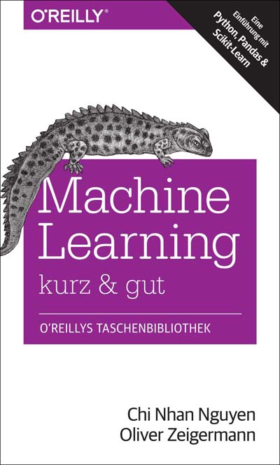 dpunkt-computing-machine-learning-kurz-gut-ebook-ki image 1
