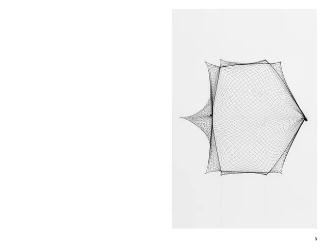 slanted-jytte-h-y-hair-net-geometry-buch-kunst image 1