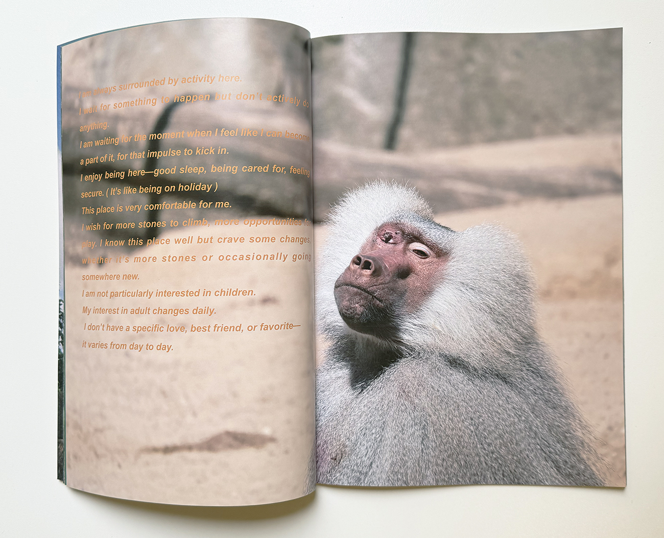 slanted-books-vol-3-zoo-in-berlin-buch-design image 3