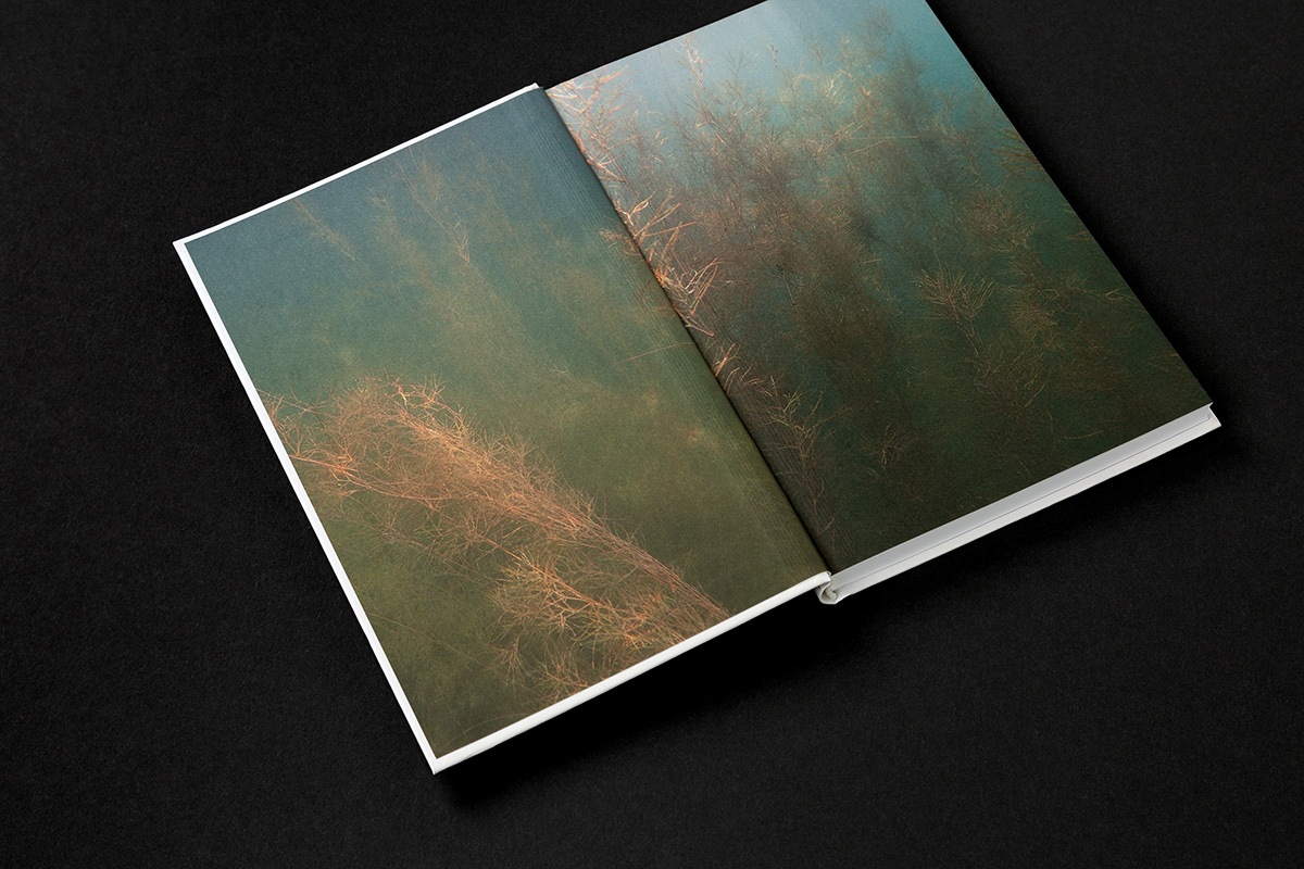 slanted-tender-digitality-buch-digital-design image 2