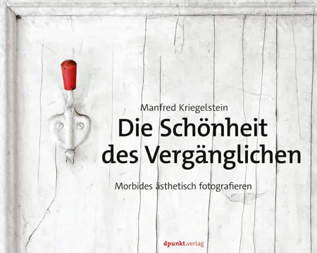 dpunkt-computing-die-sch-nheit-des-verg-nglichen-fotobuch-gebundene-ausgabe image 1