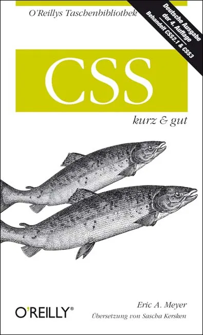 dpunkt-computing-css-kurz-gut-buch-webentwicklung image 1