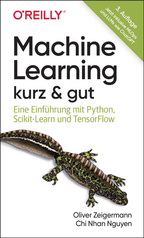 dpunkt-computing-machine-learning-kurz-gut-buch-3-auflage-llms image 1