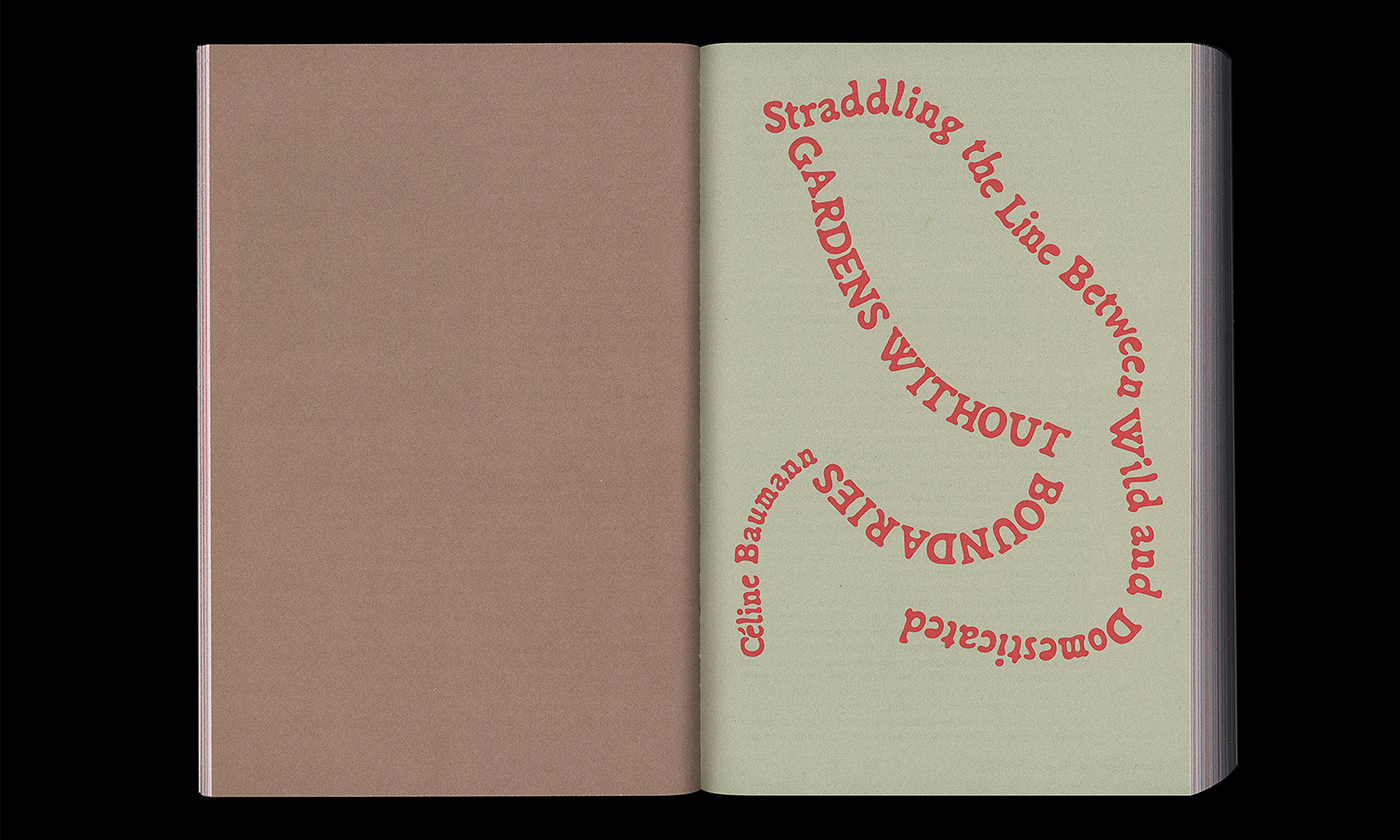 slanted-queer-flora-fauna-and-funga-buch-radical-forage image 5