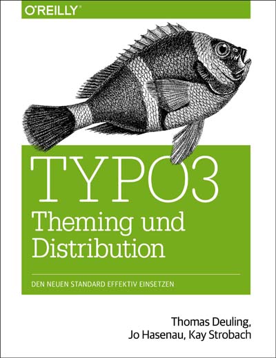 dpunkt-computing-typo3-theming-und-distribution-buch-cms image 1