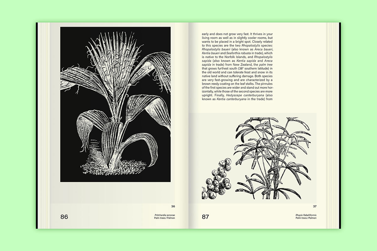 slanted-books-leafy-house-plants-buch-zimmerpflanzen image 6
